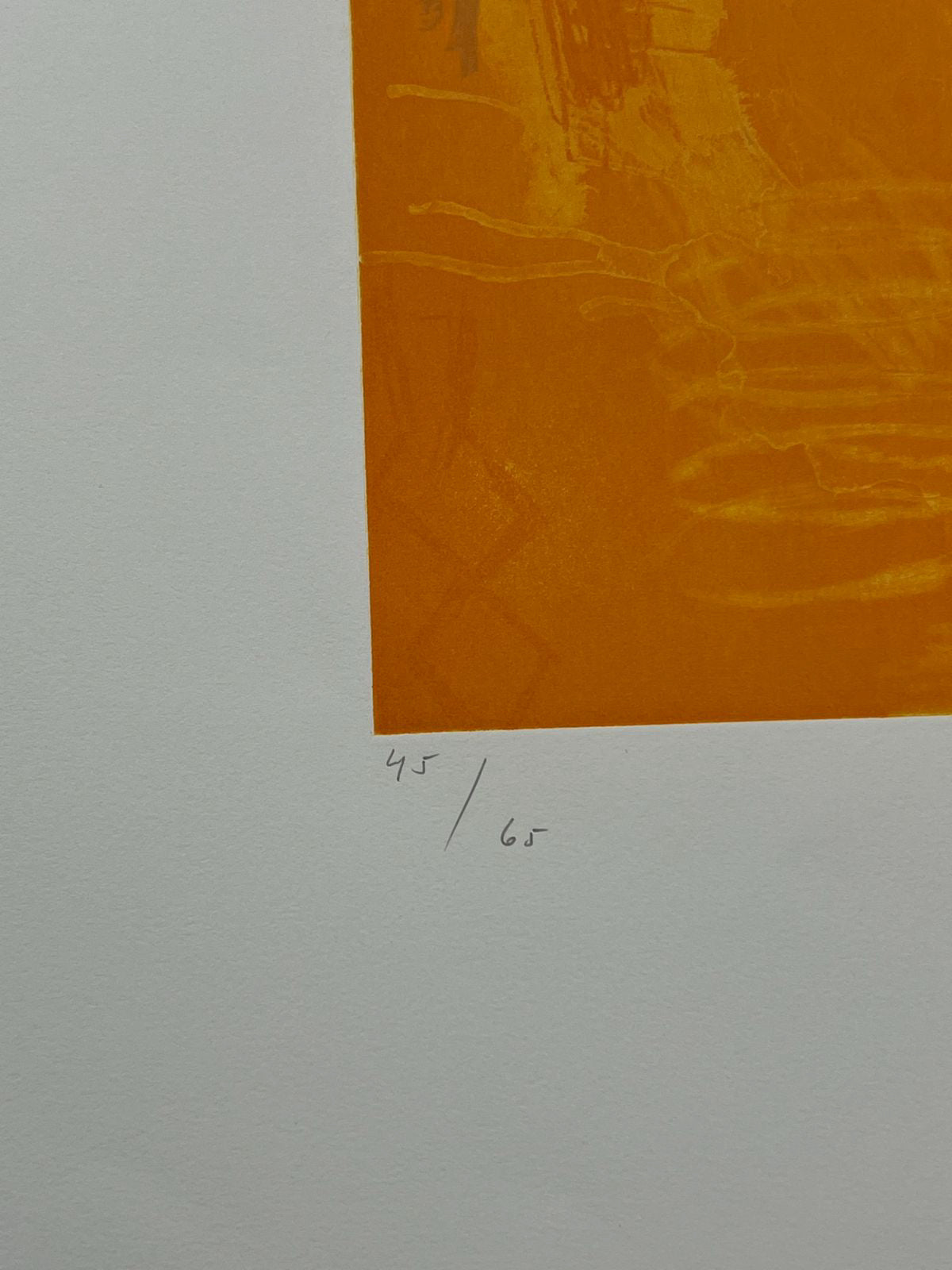 Joaquín Capa Eiriz "Orange + Yellow" /65 Limited Signed Fine Wall Art 56Lx76W cm