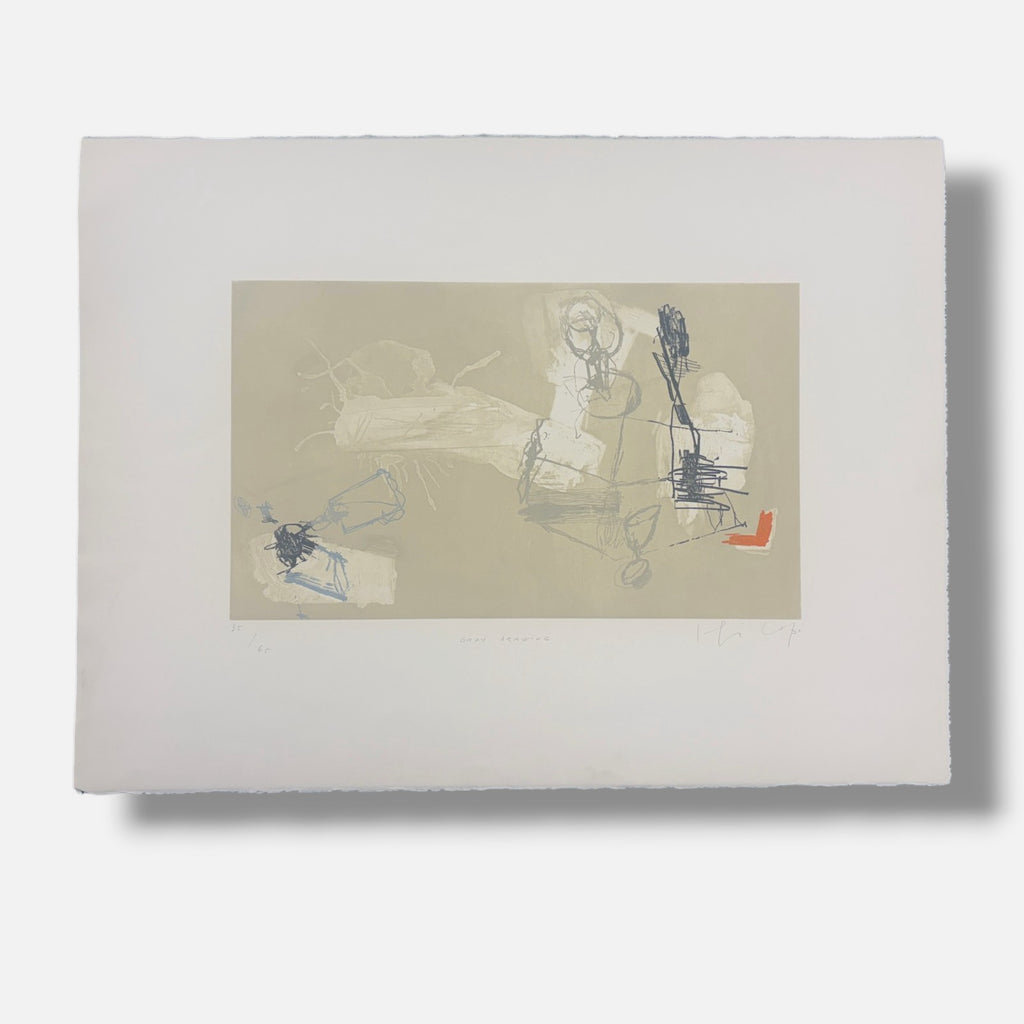Joaquín Capa Eiriz "Gray Drawing" /65 Limited Signed Fine Wall Art, 56L x 76W cm