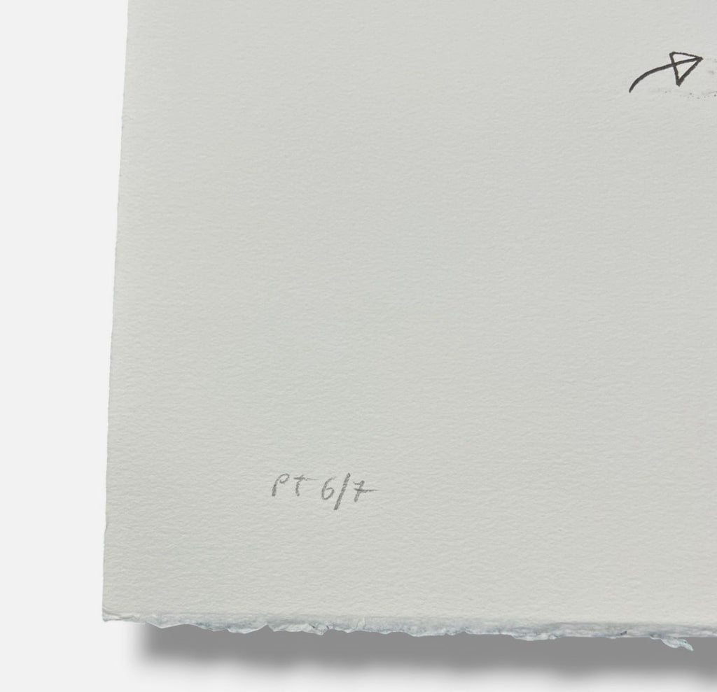 Santiago Rodríguez Olazábal "Las Dieciséis Tierras" P.T. Limited Signed Wall Art