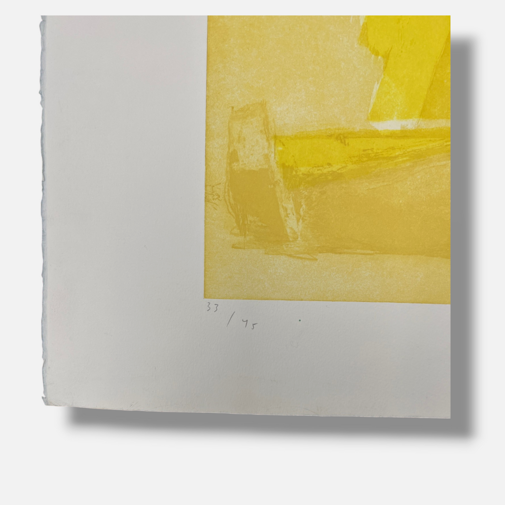 Joaquín Capa Eiriz "Drawing Yellow" Limited Signed Fine Wall Art Print