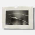 Toni Crabb "FIber 1 (Moths) V" Limited Signed Art Photography Print, 12 x 17 cm