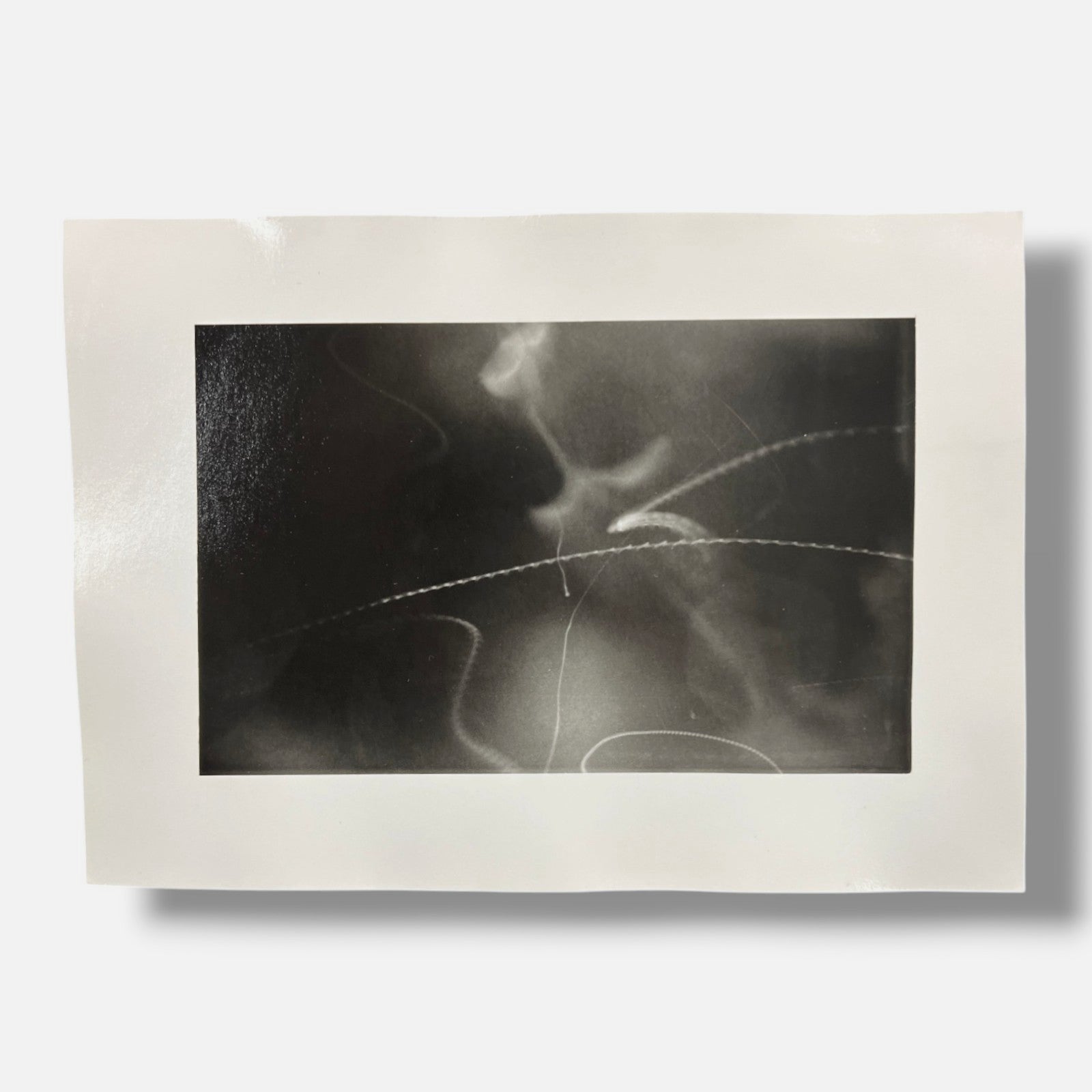 Toni Crabb "FIber 1 (Moths) I" Limited Signed Art Photography Print, 12x17 cm