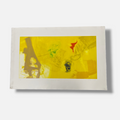 Joaquín Capa Eiriz "Yellow & Colors" 1999 Limited Signed Fine Wall Art Print