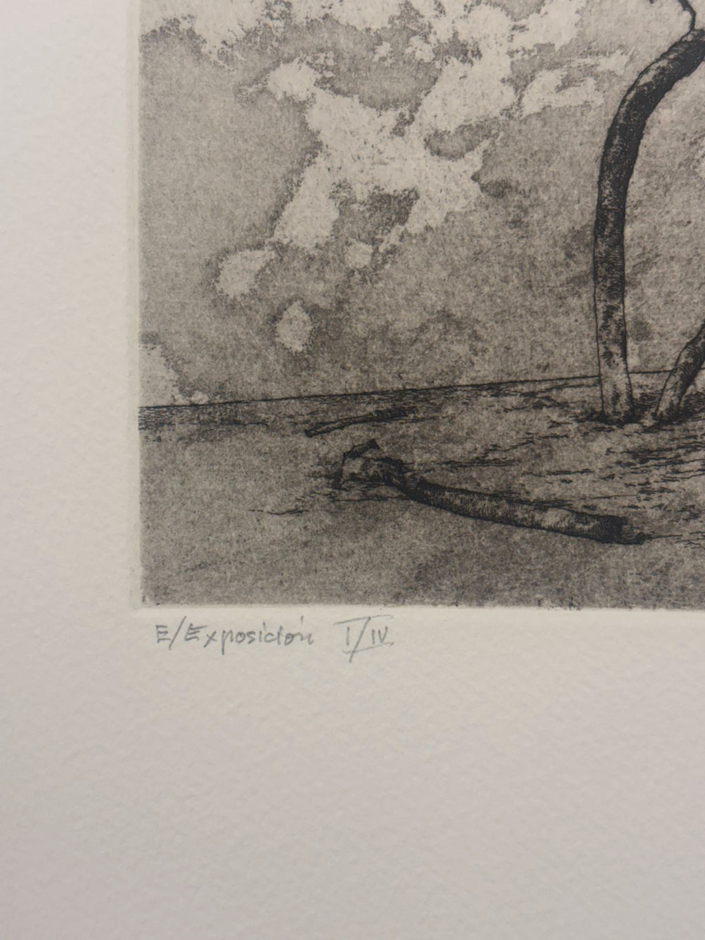 Jose Hernandez Muñoz "Sombra III" P.E. 2004 Signed Limited Fine Wall Art 50x65cm