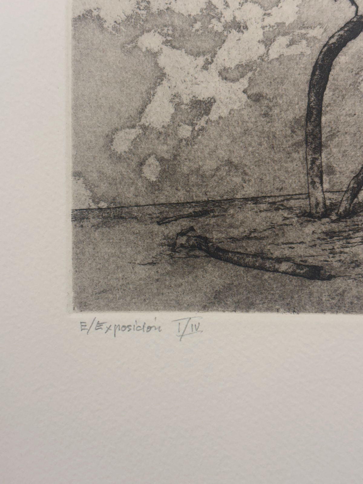 Jose Hernandez Muñoz "Sombra III" P.E. 2004 Signed Limited Fine Wall Art 50x65cm