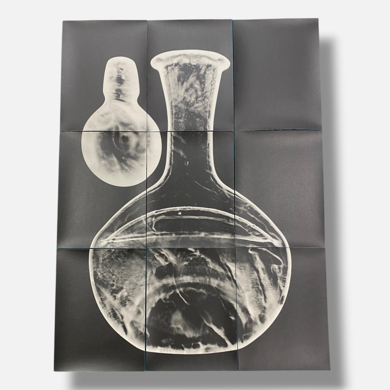 Sylvie Bussières "Sèrie Inutiles de Cristal" Foto No.2 Photogram Mural Wall Art