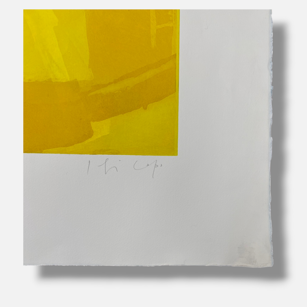 Joaquín Capa Eiriz "Yellow & Colors" 1999 Limited Signed Fine Wall Art Print